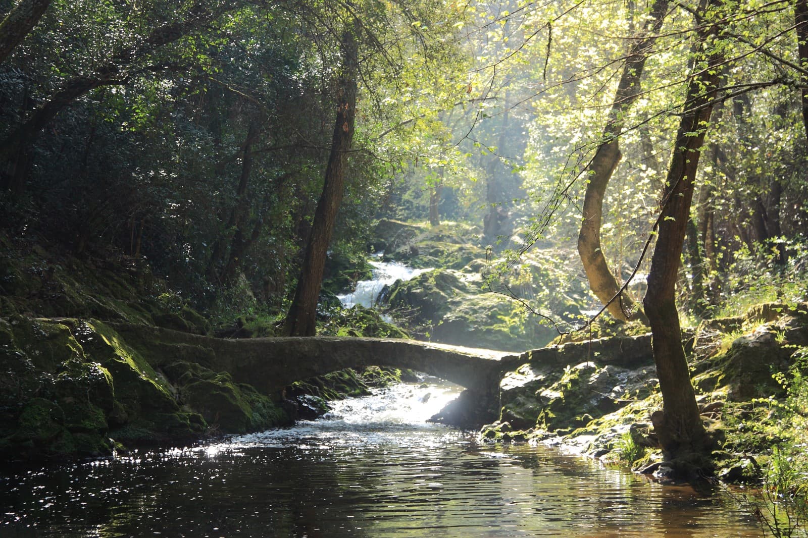 Parc départemental de la Brague