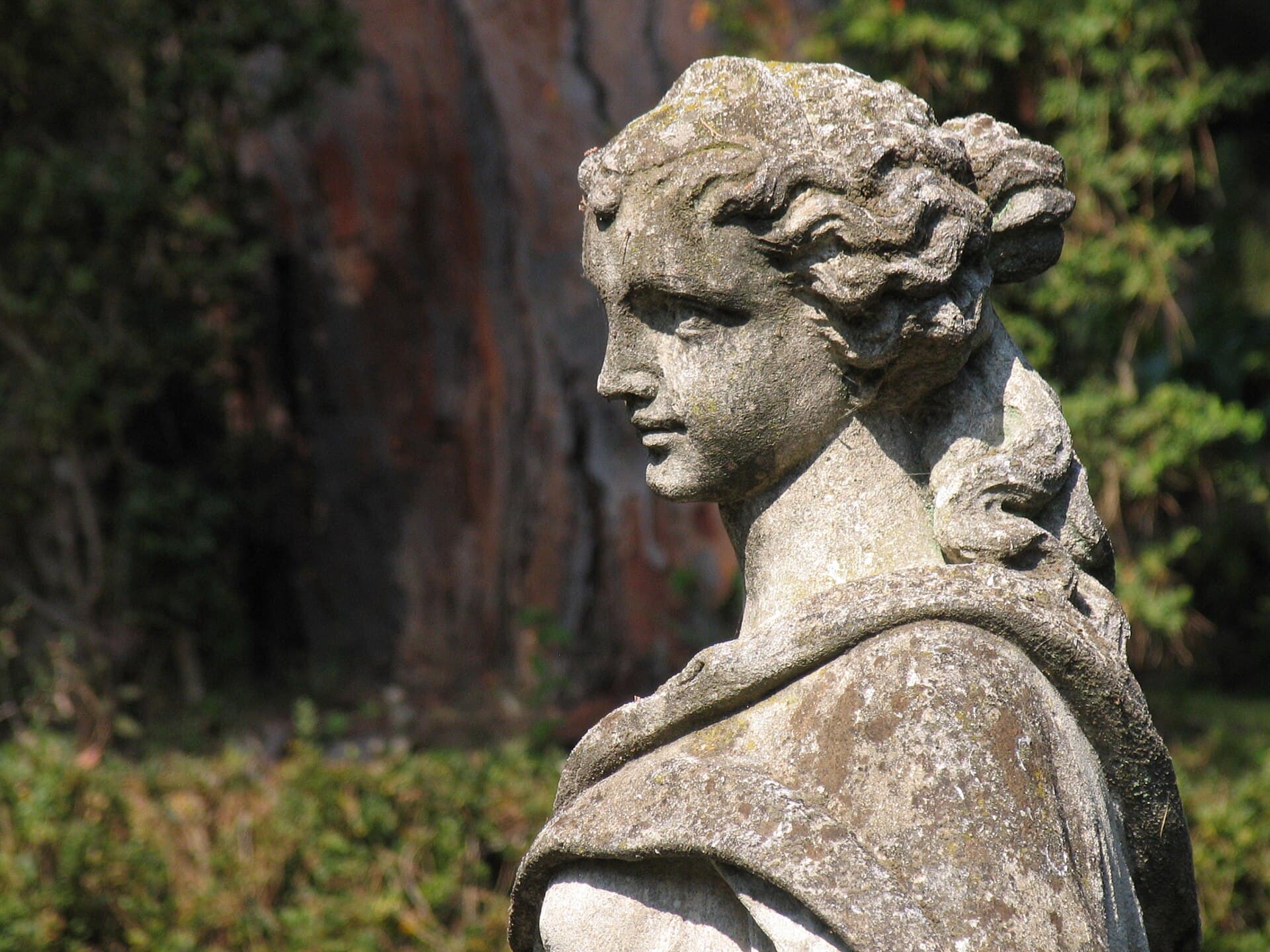 Jardin Fontana Rosa
