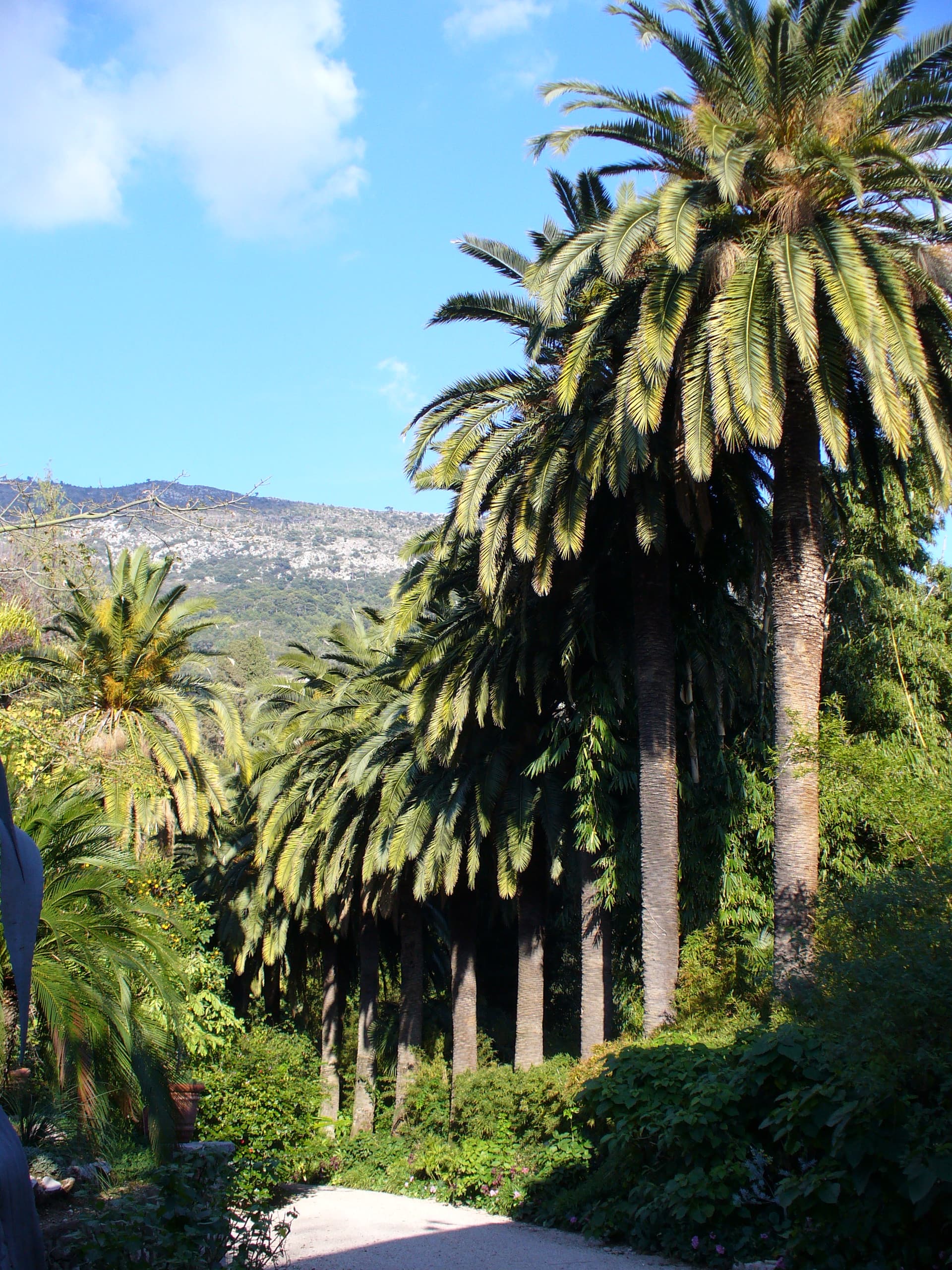 Jardin Maria Serena