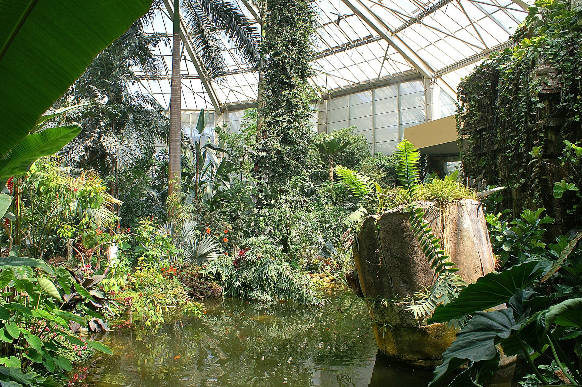 Parc Phoenix