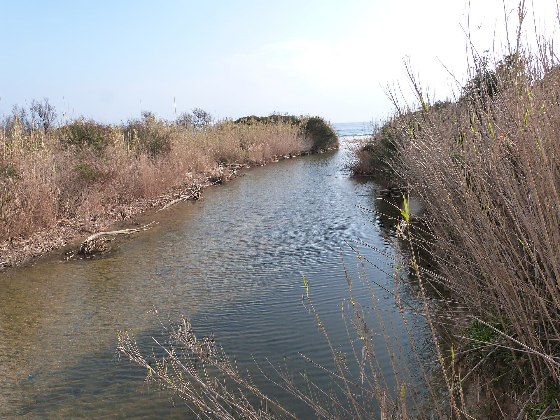Sentier du littoral : Pampelonne – Cap Camarat – Cap Taillat