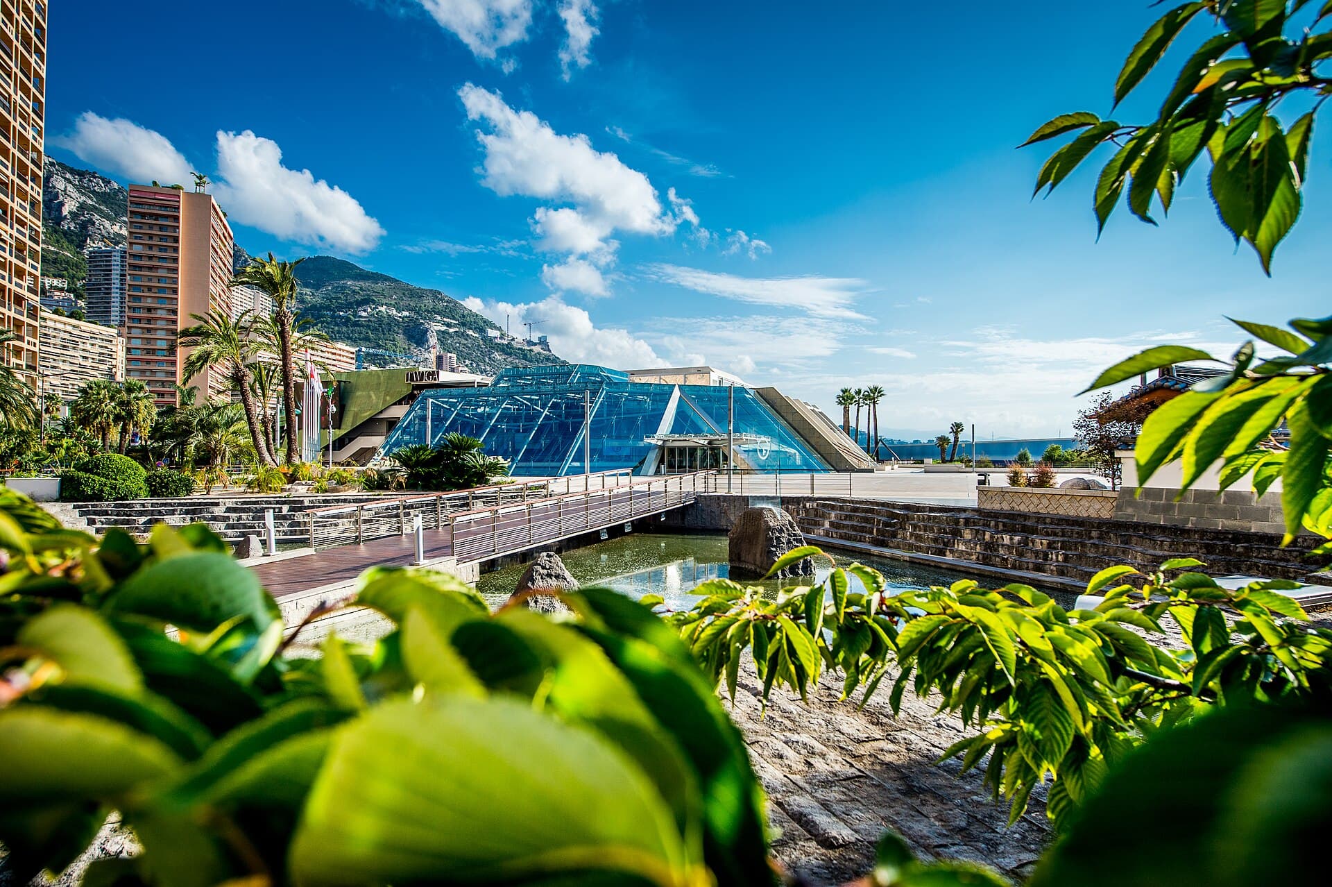 Monaco Card Show — 2ᵉ édition
