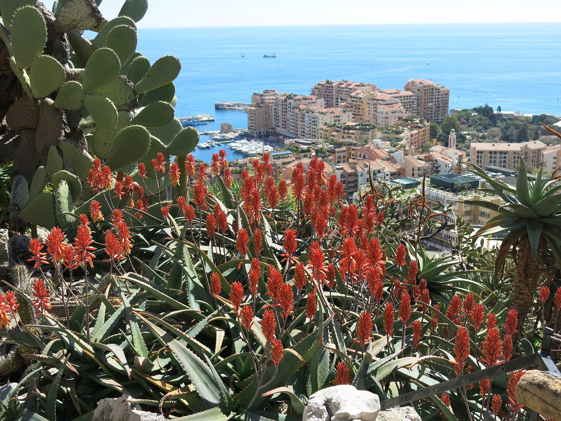Jardin Exotique de Monaco & grotte de l'Observatoire