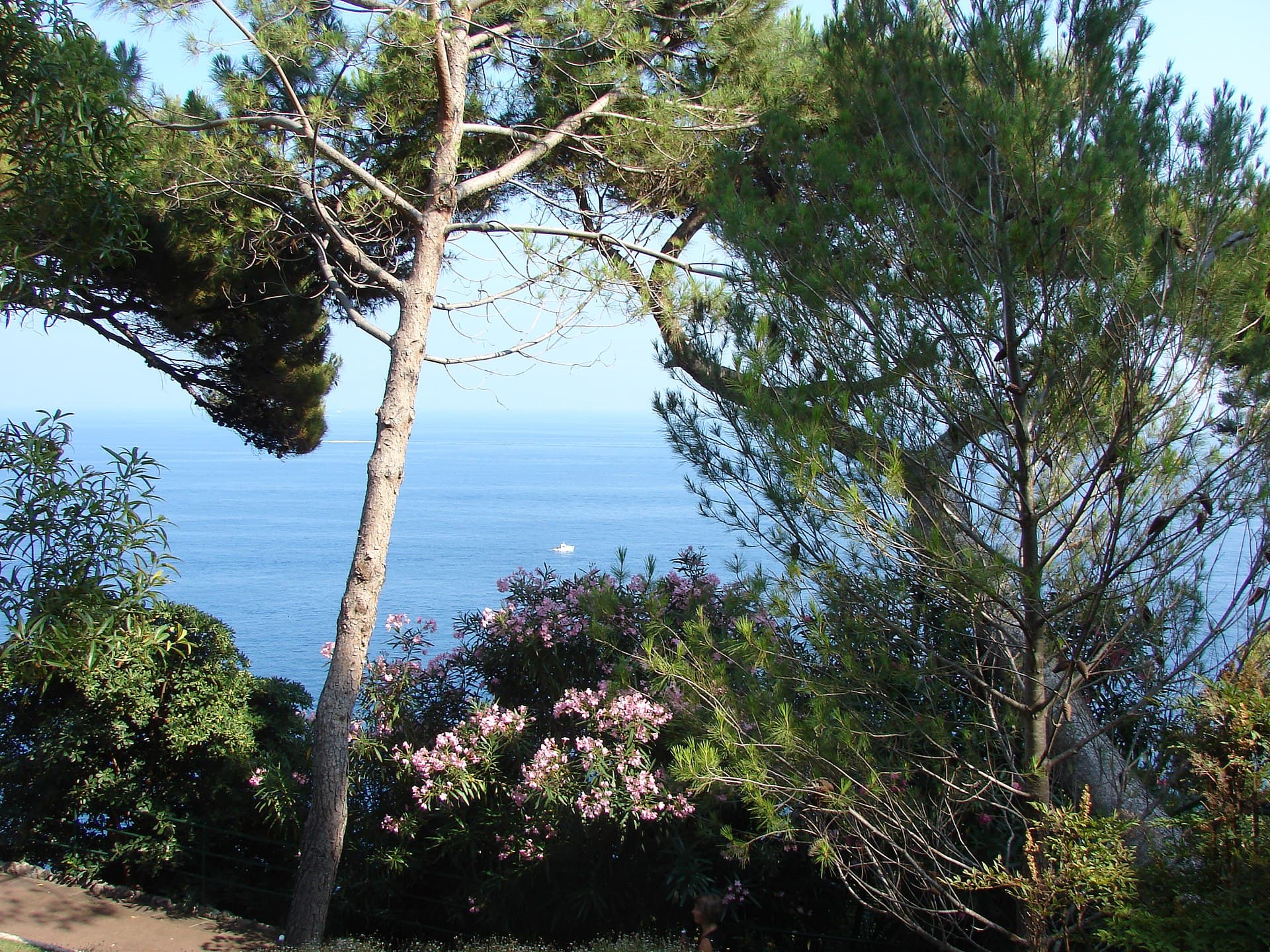 Jardins Saint-Martin