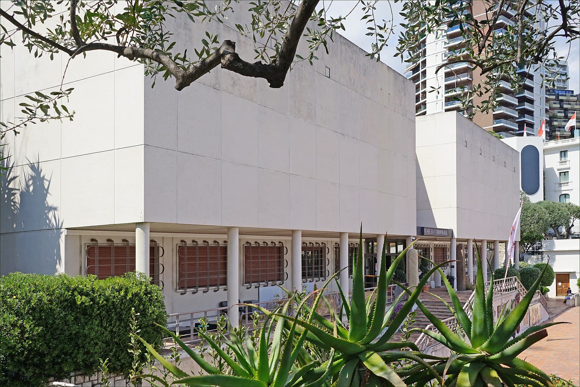 Musée d'Anthropologie préhistorique